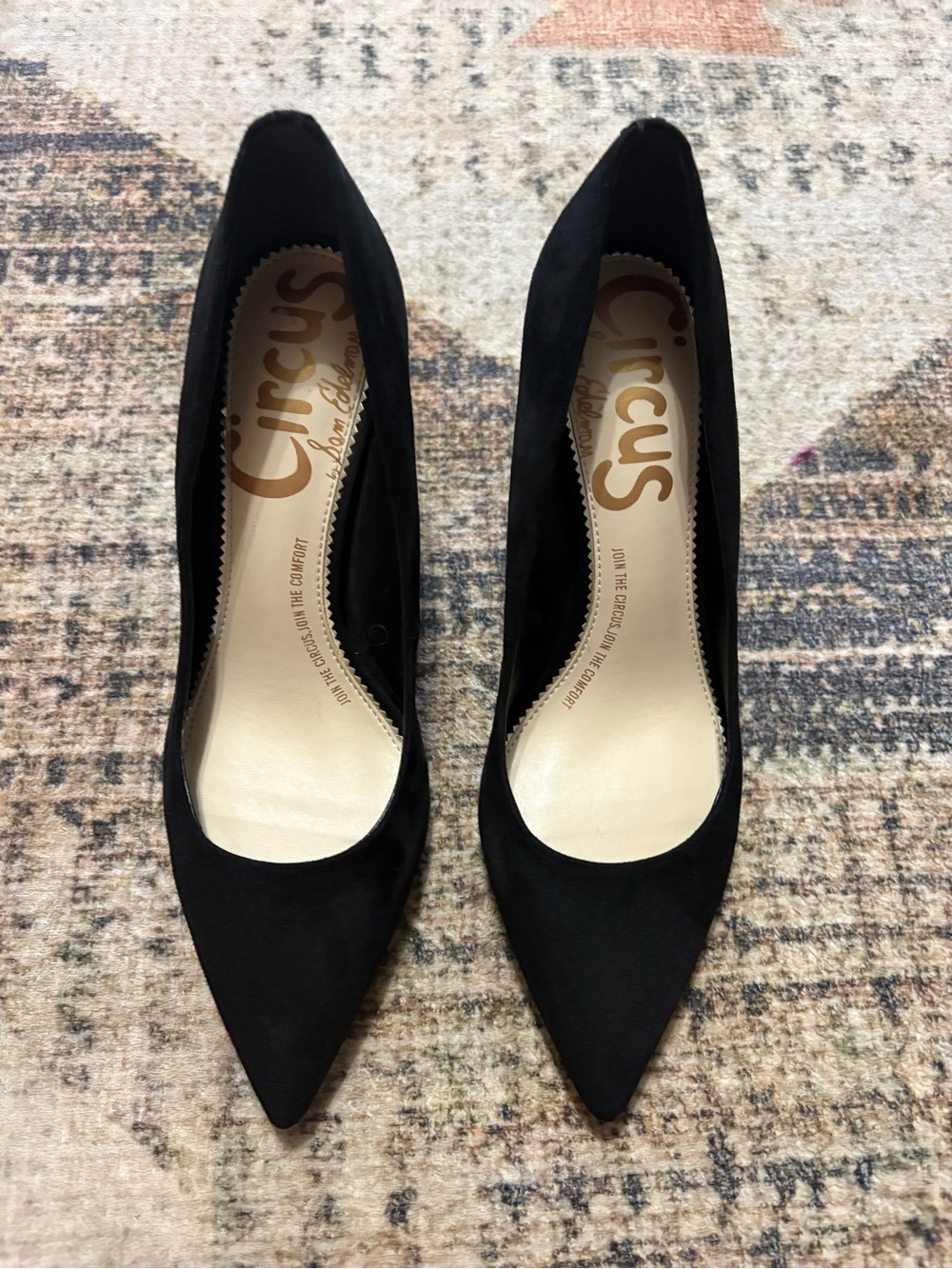 Circus by Sam Edelman Classic Pointed Heel Black Suede Size 8